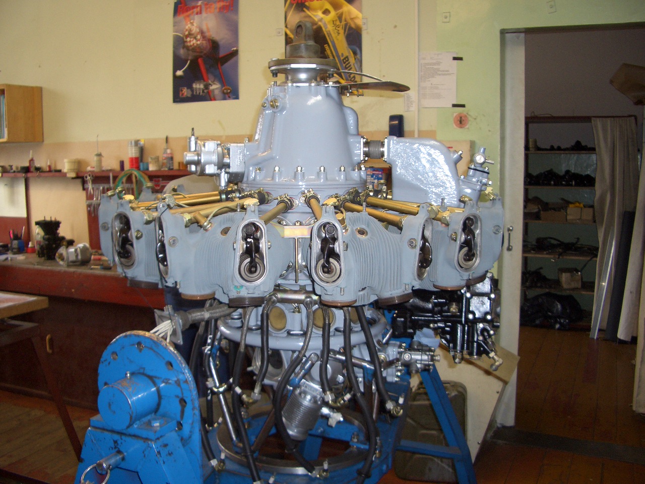 CIMG0265.JPG