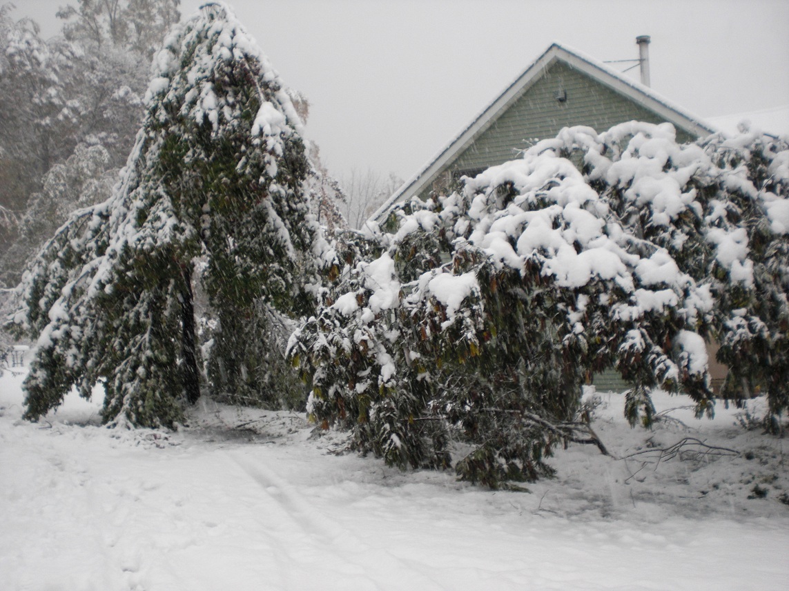 Oct_snowstorm_10.29.11_6.jpg