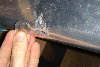 DSC06397_1.jpg
