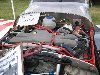 IMG_0348_(Small).JPG
