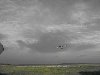 IMG_3380_(Custom).JPG