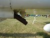 DSC05445.JPG